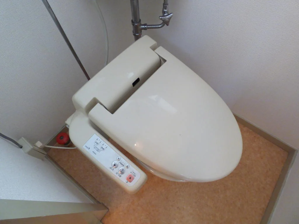テラスココパームス 2号室 トイレ